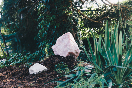 Big rose quartz uncut, crystal healing for love and heart, reflectionsの写真素材
