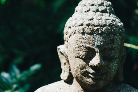 Buddha sculpture on green natureの写真素材
