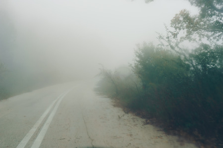 Autumn landscape, foggy road in forestの写真素材