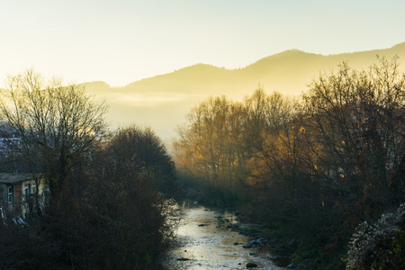 Forest and river in Autumn seasonの写真素材