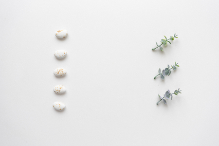 Oregano branches and wedding candies on white marble. Top view.の写真素材