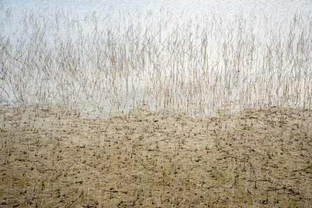 Landscape of delta of river Evros, Greeceの写真素材