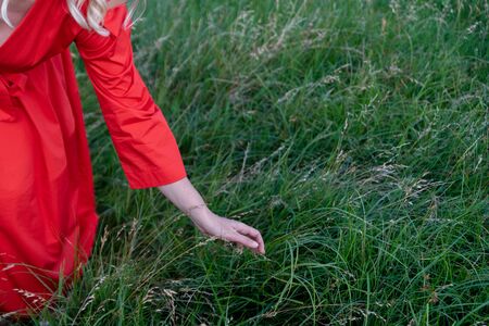Woman's hand touching the grass at the fieldの写真素材
