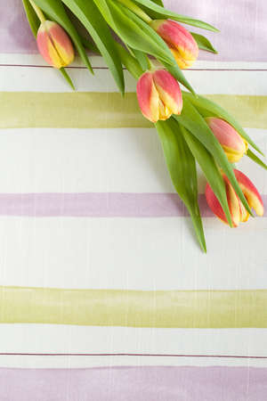 still life with eggs and flowers の写真素材