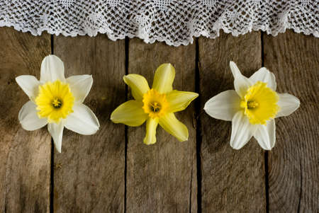 daffodils and lace on old wooden background の写真素材