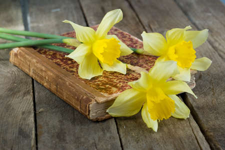 book and daffodils on old wooden background の写真素材