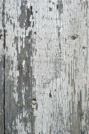 wooden backgroundの写真素材