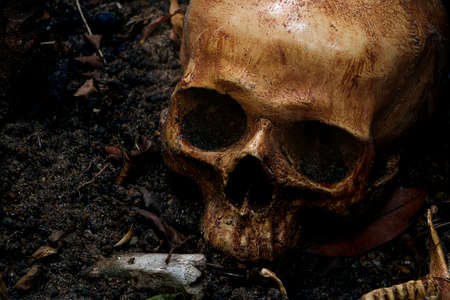 Close up of skulls and skeletons bones were unearthed from the graves in the horrible cemetery Still life and art image. In dim light.の写真素材