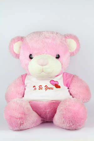 Dolls are the first things children learn.の写真素材