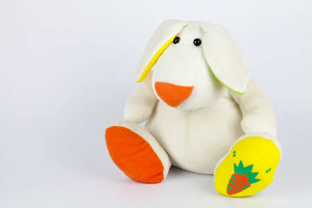 Dolls are the first things children learn.の写真素材