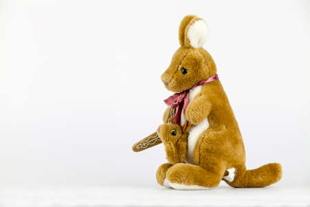 Happy all the time when we bought the doll for lovers.の写真素材