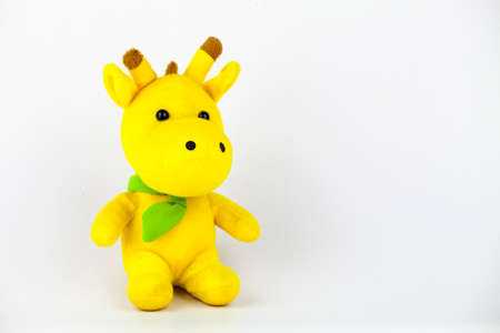 Happy all the time when we bought the doll for lovers.の写真素材