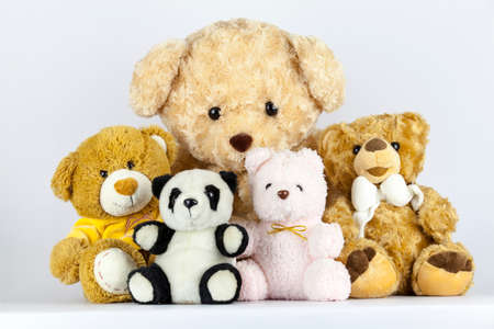 Happy all the time when we bought the doll for lovers.の写真素材