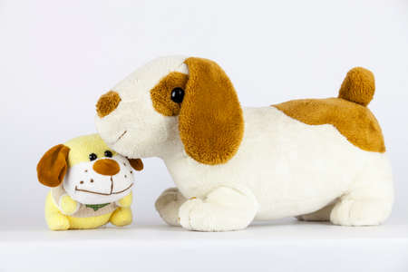 Happy all the time when we bought the doll for lovers.の写真素材