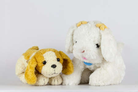 Happy all the time when we bought the doll for lovers.の写真素材