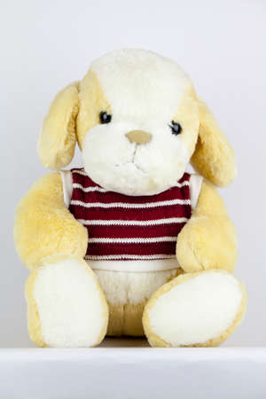 Happy all the time when we bought the doll for lovers.の写真素材