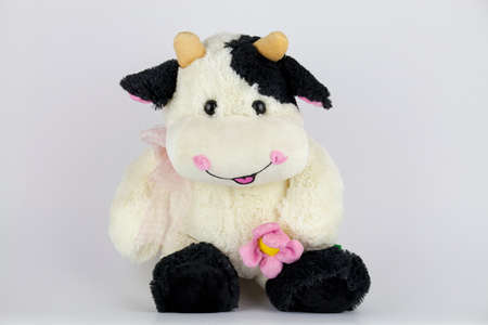 Happy all the time when we bought the doll for lovers.の写真素材