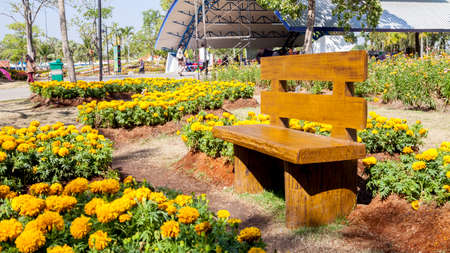 One chair in a flower garden of Thailand.の写真素材