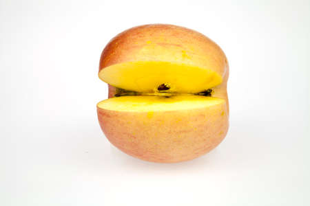 Gala apples are cut on a white background.の写真素材
