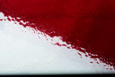 Oil and water droplets on a colorful background.の写真素材