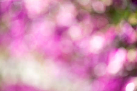 Beautiful multi color  bokeh in garden. Spring background.の写真素材