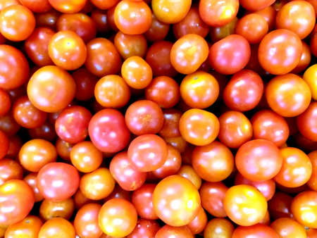 Red ripe cherry tomatoes in their variety, ileal background for marketsの写真素材