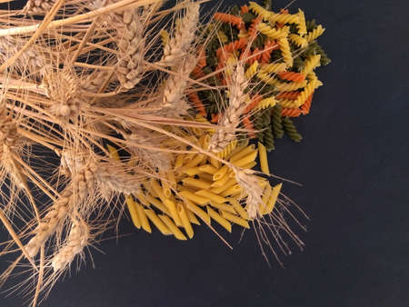 Tricolor pasta, feathers paste and dry spikelets of wheat on a dark backgroundの写真素材