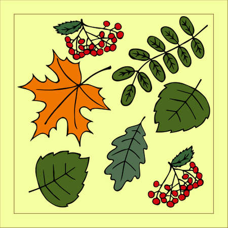 Illustration, a pattern on the theme of autumn, colorful leaves and rowan in a frame on a yellow backgroundのイラスト素材