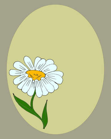 Illustration, postcard, wedding invitation, delicate chamomile on an oval background, minimalism designのイラスト素材