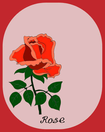 Illustration, postcard, wedding invitation, bright rose on an oval background, minimalism designのイラスト素材