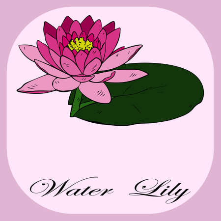 Vector illustration, greeting card Happy Birthday, Happy Valentine's Day, wedding invitation, purple water lily with green leaves in a pink frameのイラスト素材