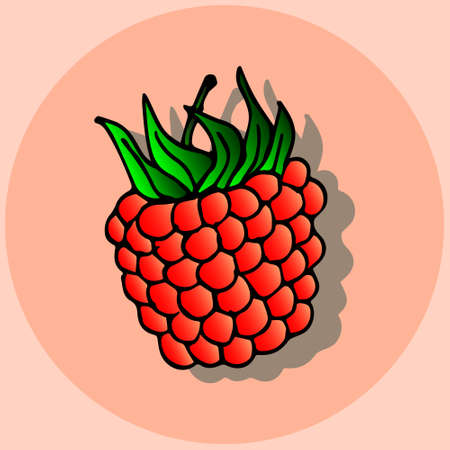 Vector illustration, banner, postcard image of a raspberry with a shadow on a pink oval backgroundのイラスト素材