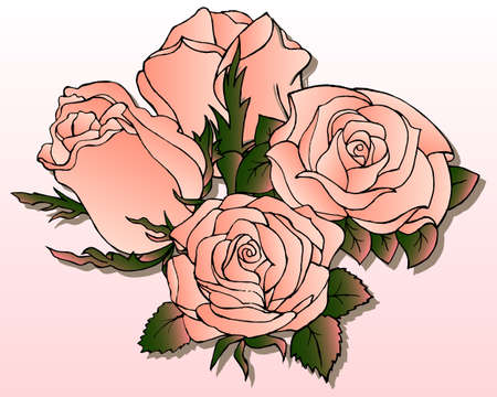 vector illustration, floral background, tender pink roses on a white - pink gradient, for background, cards, invitationsのイラスト素材