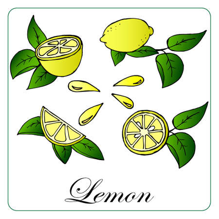 pattern, illustration, juicy lemons whole and in a cut on a green backgroundのイラスト素材