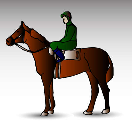 vector illustration of rider on horse, horse and equestrian sport, color designのイラスト素材