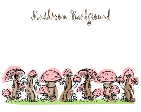 illustration, postcard, background texture, forest mushrooms and autumn leaves, for textのイラスト素材