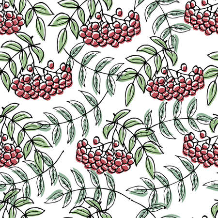 seamless pattern autumn, rowan with leaves on a white background, for textiles and paperのイラスト素材