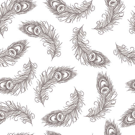 illustration, seamless pattern, drawn gray peacock feathers on a white background, for wallpaper and textileのイラスト素材