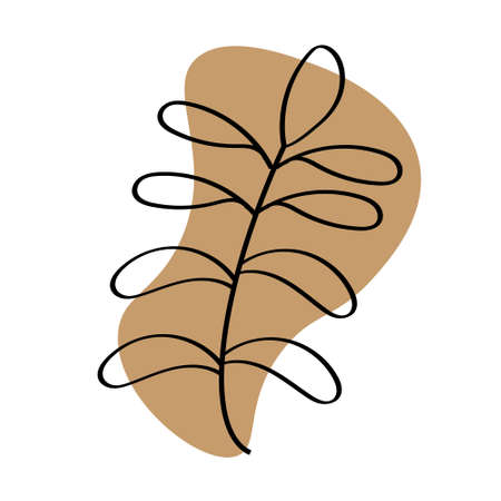 illustration, contour branch of acacia and abstract beige spot on white background, minimal design for banners, posters, logosのイラスト素材