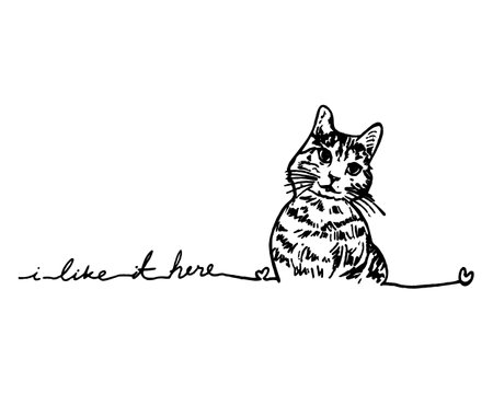 illustration, drawn contour cat with hearts, lettering, graphic black design on a white background, for posters, banners, textilesのイラスト素材