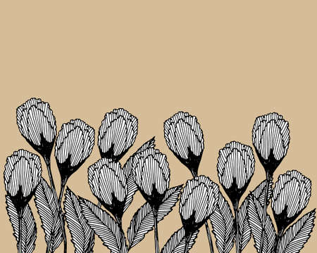 illustration, hand drawn poppies flower buds, black outline on a beige background, elegant design, greeting card, poster, for textのイラスト素材