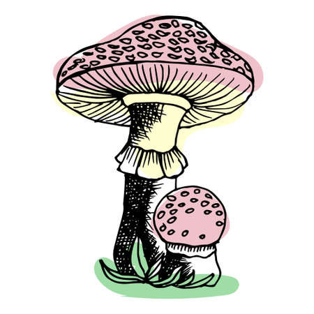 illustration, hand drawn mushrooms, black outline and abstract spots, graphic resourceのイラスト素材