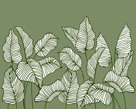 illustration, hand-drawn green contour in strokes of different leaves on a gentle green background, textiles, wallpaperのイラスト素材