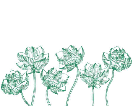 illustration, hand-drawn contour shaded flowers, green outline on a white background, postcard, poster, textileのイラスト素材