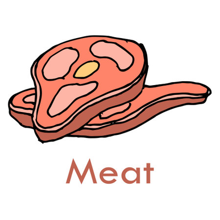 Illustration hand drawn appetizing meat steak and piece of meat, design for restaurants and cafesのイラスト素材