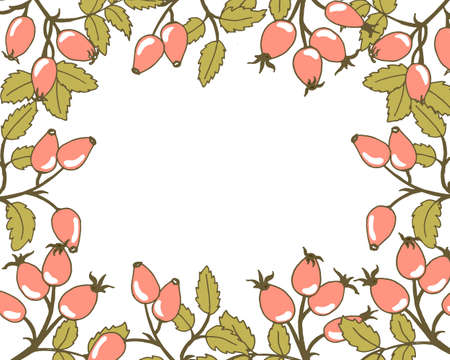 illustration, background, frame of hand-drawn rose hips with red fruits, for text, postcardのイラスト素材