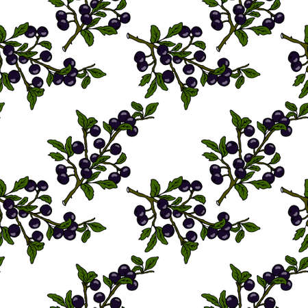 seamless pattern, bright hand-drawn blackthorn branches with berries and leaves, textiles, wallpaper, paperのイラスト素材