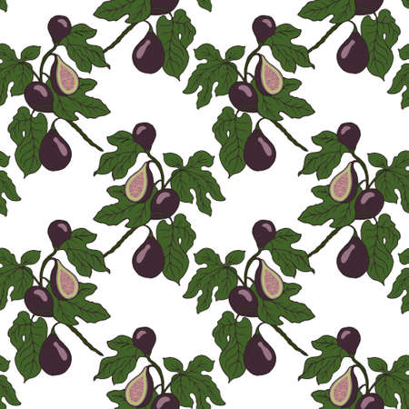 seamless pattern, hand drawn fig branches with fruits and leaves, postcard, print, textileのイラスト素材