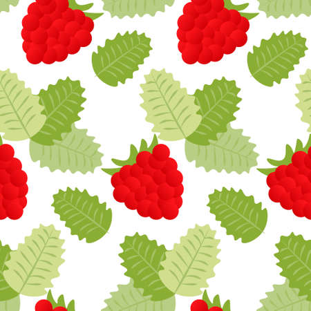 Seamless pattern, print, drawn raspberries and green leaves on a white background. Textiles, wrapping paper, cover, kitchen decor.のイラスト素材