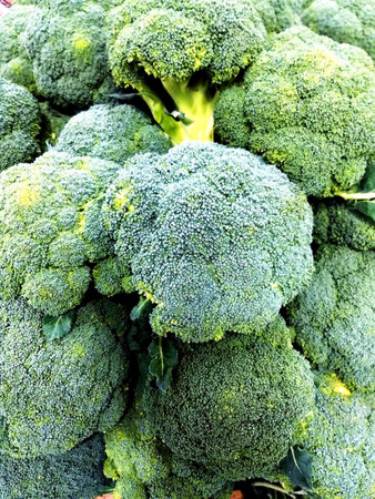Colorful heads of broccoli cabbage. Vegetables. Background